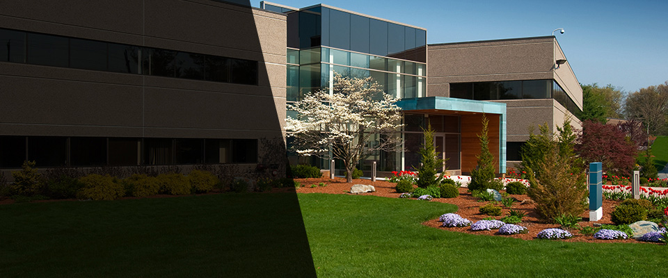 Lansford Landscapers
