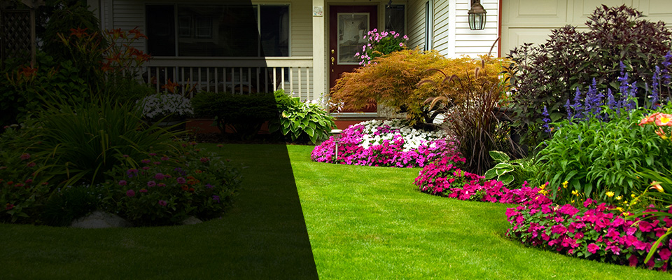 Lansford Landscapers