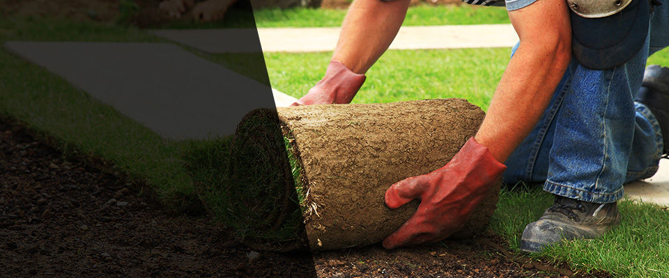 Lansford Landscapers